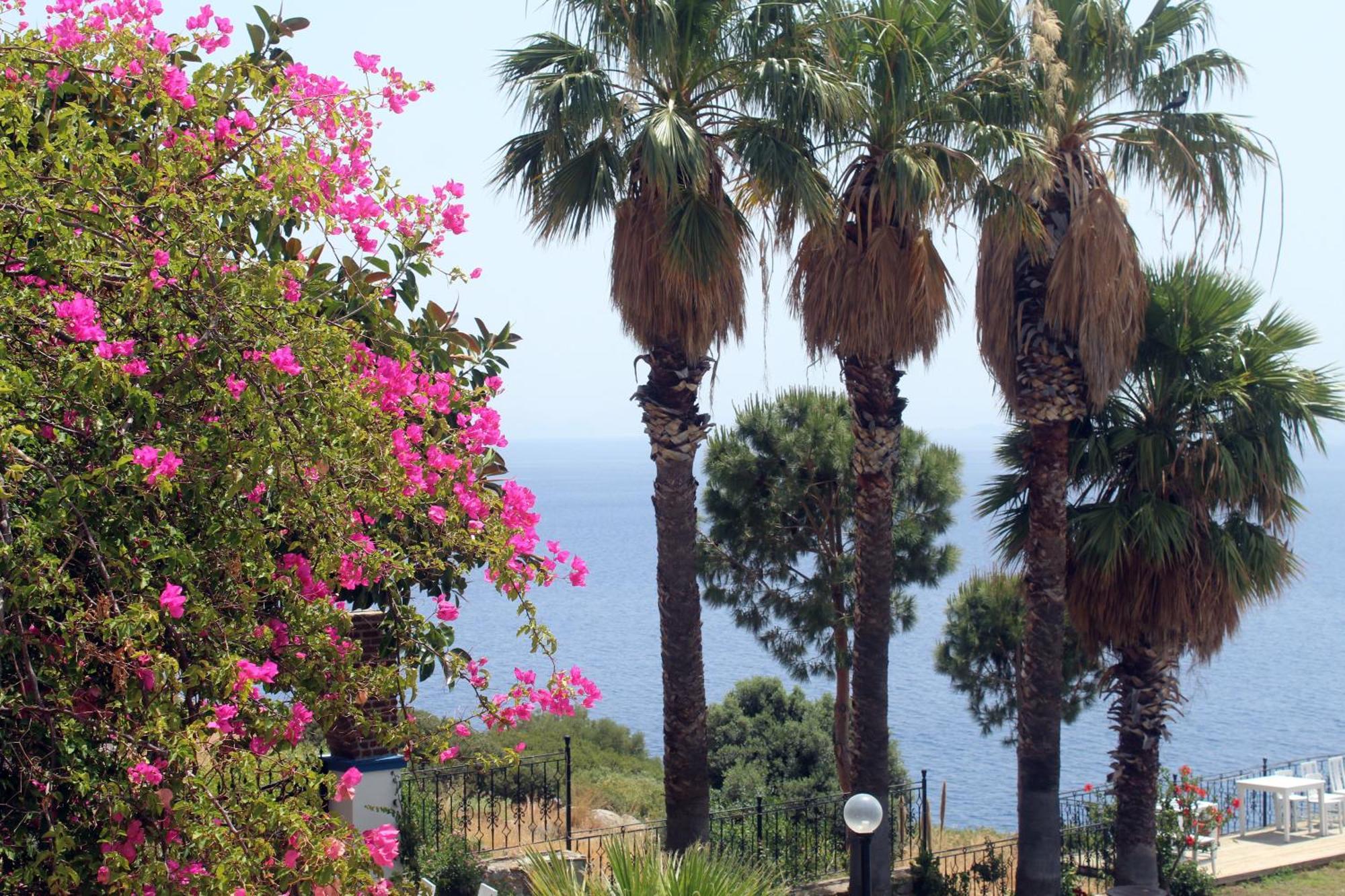 Datca Villa Carla Hotel الغرفة الصورة